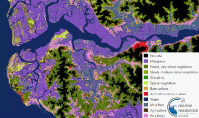 Landcover Map of Senegal Casamance Area (2020)